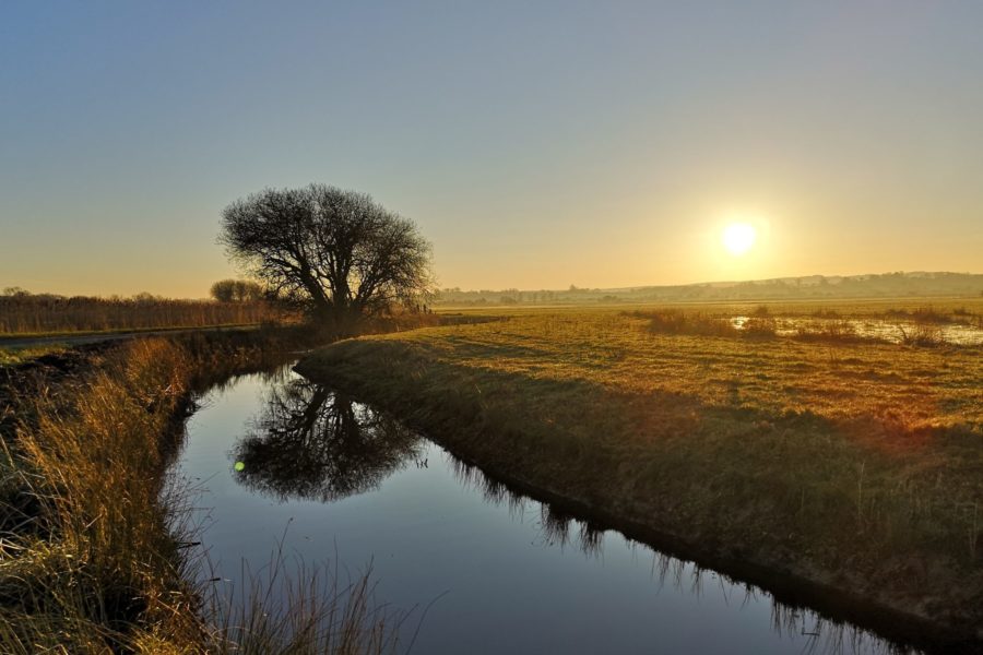 The Pevensey Levels